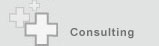 consulting